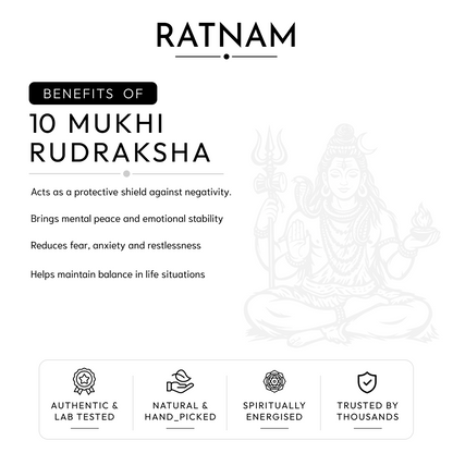 Buy 10 Mukhi Nepali Rudraksha | 100% Original & Energised