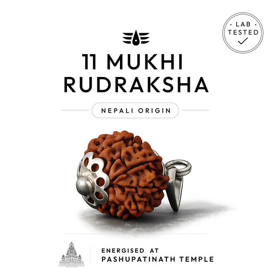Buy 11 Mukhi Nepali Rudraksha | 100% Original & Energised