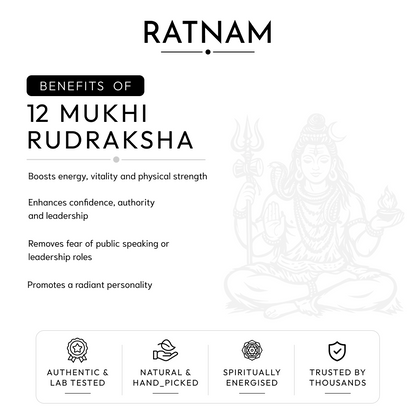 Buy 12 Mukhi Nepali Rudraksha | 100% Original & Energised