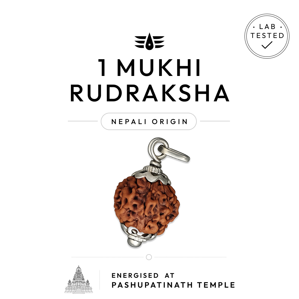 Buy 1 Mukhi Nepali Rudraksha | 100% Original & Energised