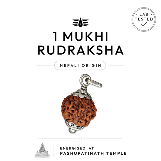 Buy 1 Mukhi Nepali Rudraksha | 100% Original & Energised