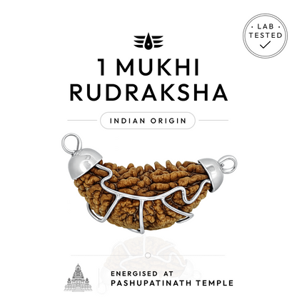 Buy 1 Mukhi Indian Rudraksha | 100% Original & Energised
