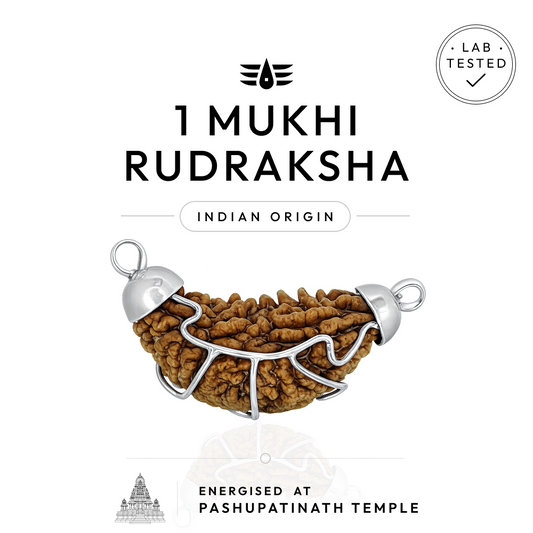 Buy 1 Mukhi Indian Rudraksha | 100% Original & Energised