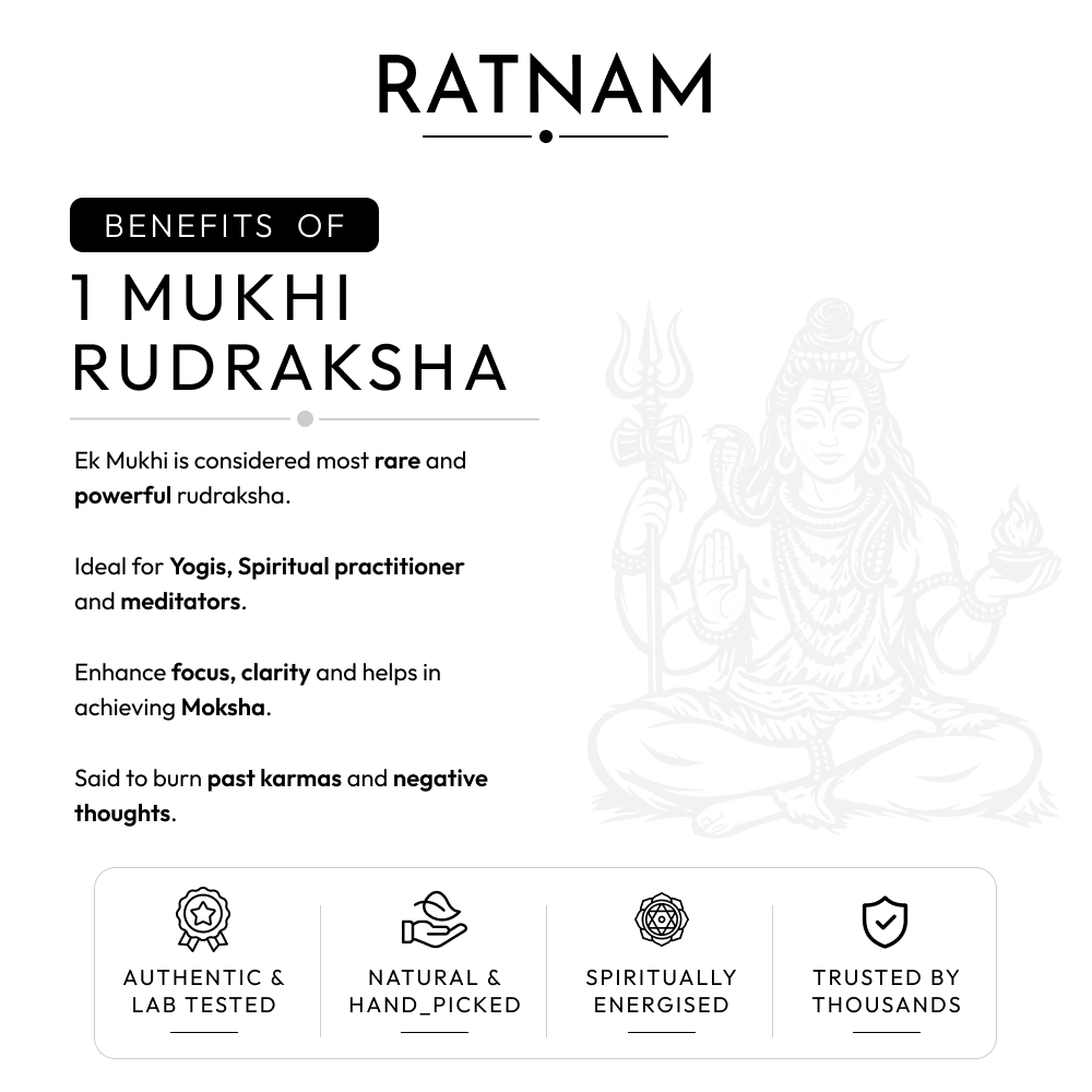 Buy 1 Mukhi Indian Rudraksha | 100% Original & Energised