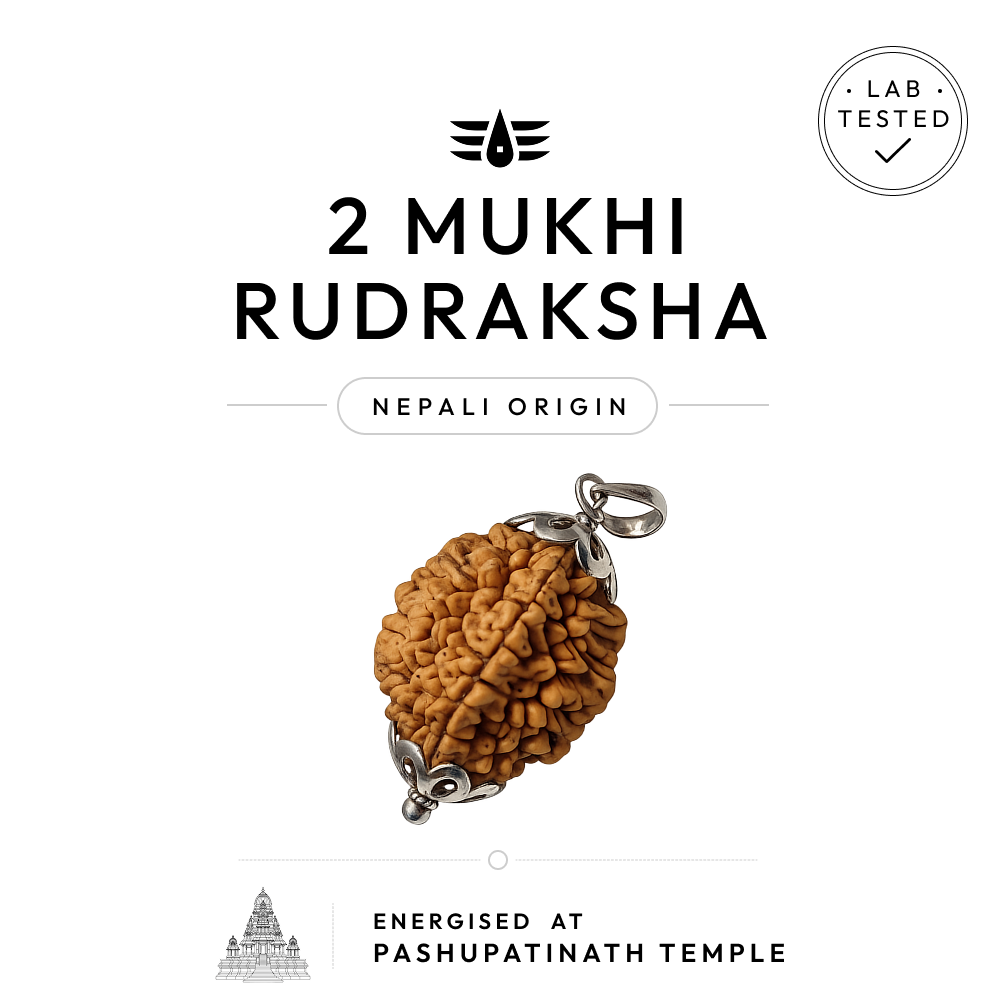 Buy 2 Mukhi Nepali Rudraksha | 100% Original & Energised