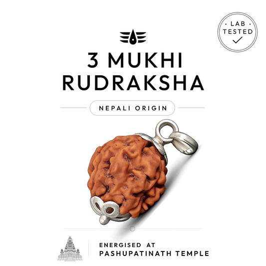 Buy 3 Mukhi Nepali Rudraksha | 100% Original & Energised