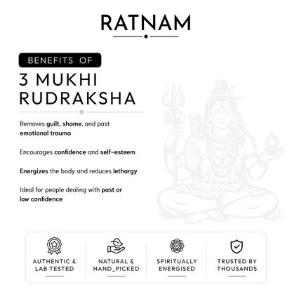 Buy 3 Mukhi Nepali Rudraksha | 100% Original & Energised