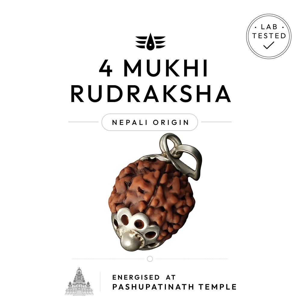 Buy 4 Mukhi Nepali Rudraksha | 100% Original & Energised