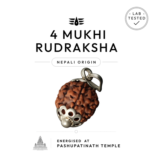 Buy 4 Mukhi Nepali Rudraksha | 100% Original & Energised