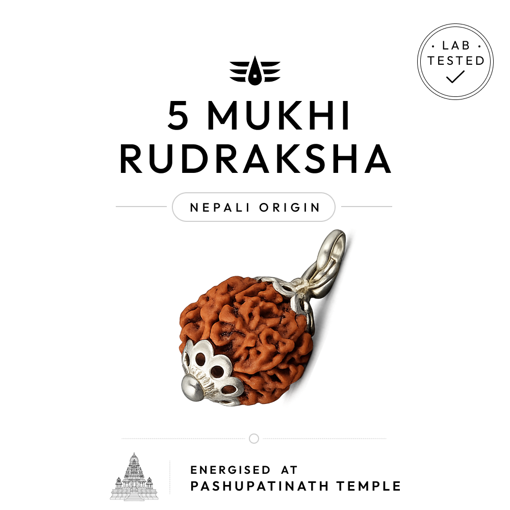 Buy 5 Mukhi Nepali Rudraksha | 100% Original & Energised