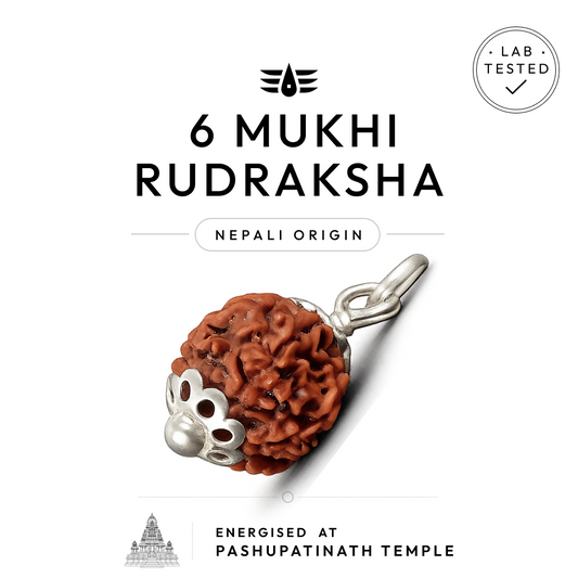 Buy 6 Mukhi Nepali Rudraksha | 100% Original & Energised