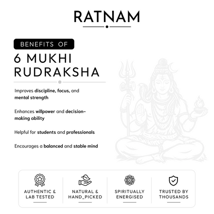 Buy 6 Mukhi Nepali Rudraksha | 100% Original & Energised