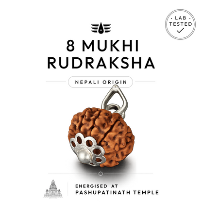 Buy 8 Mukhi Nepali Rudraksha | 100% Original & Energised