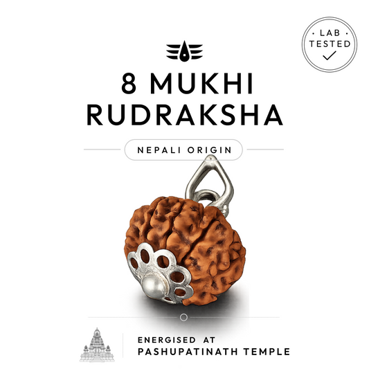 Buy 8 Mukhi Nepali Rudraksha | 100% Original & Energised