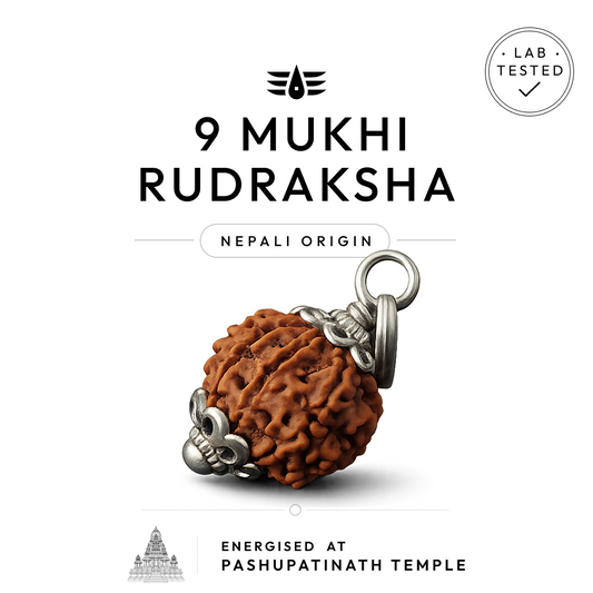 Buy 9 Mukhi Nepali Rudraksha | 100% Original & Energised
