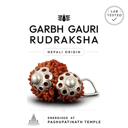 Garbh Gauri Rudraksha | 100% Original & Energised