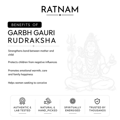 Garbh Gauri Rudraksha | 100% Original & Energised