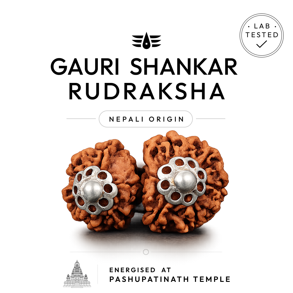 Buy Gauri Shankar Rudraksha | 100% Original & Energised