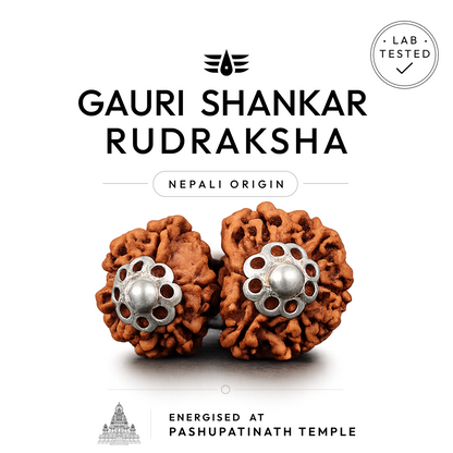 Buy Gauri Shankar Rudraksha | 100% Original & Energised