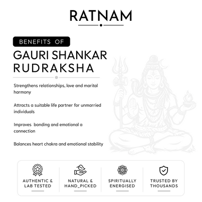 Buy Gauri Shankar Rudraksha | 100% Original & Energised