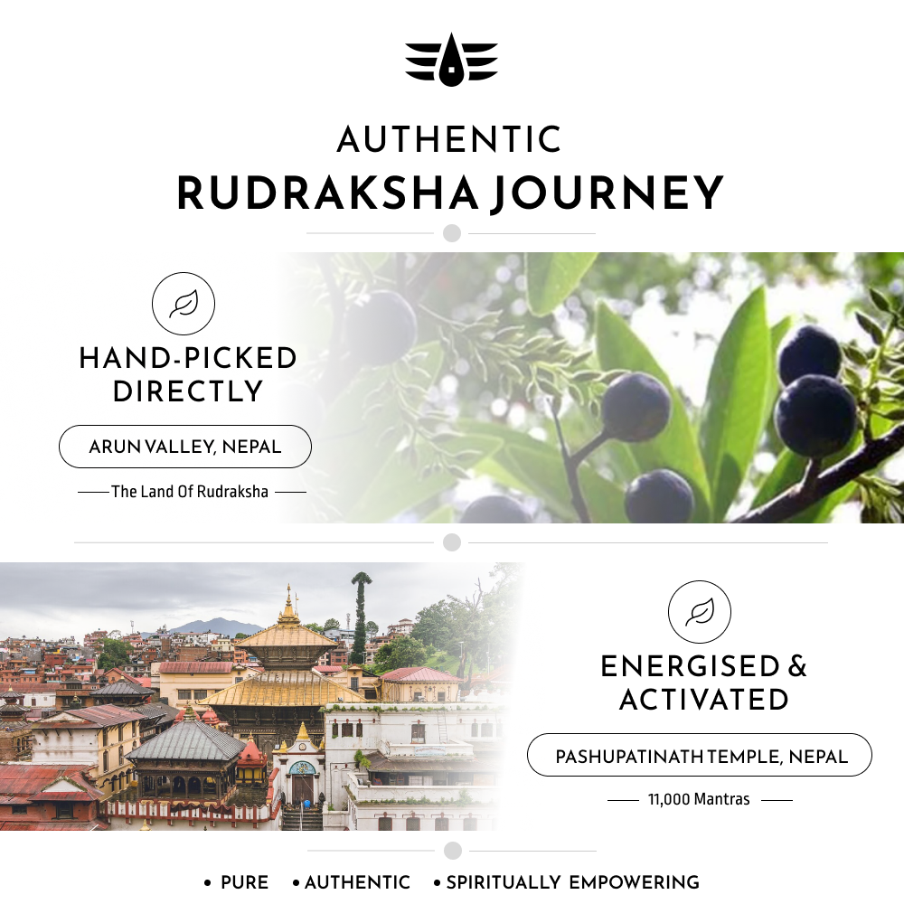 Buy Original Rudraksha Mala for Jaap | 108 Beads