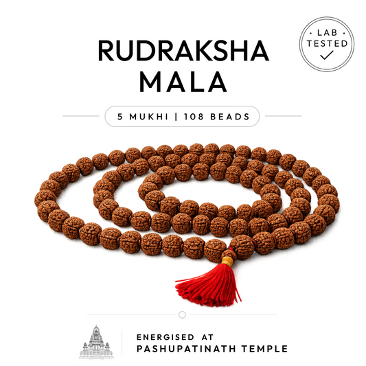 Buy Original Rudraksha Mala for Jaap | 108 Beads